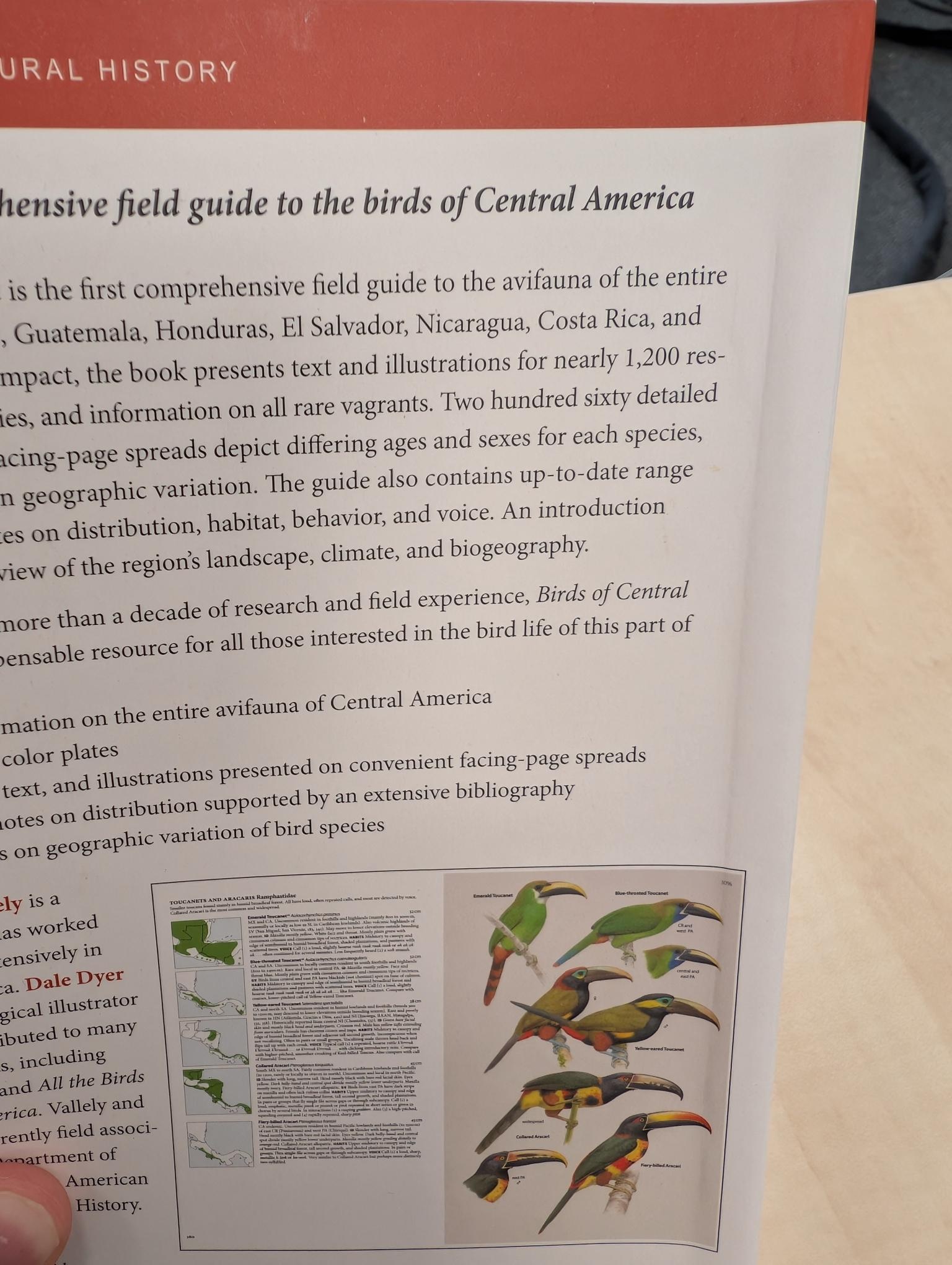 Beschadigd exemplaar - Birds of Central America
