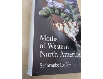 Beschadigd exemplaar - Moths of Western North America