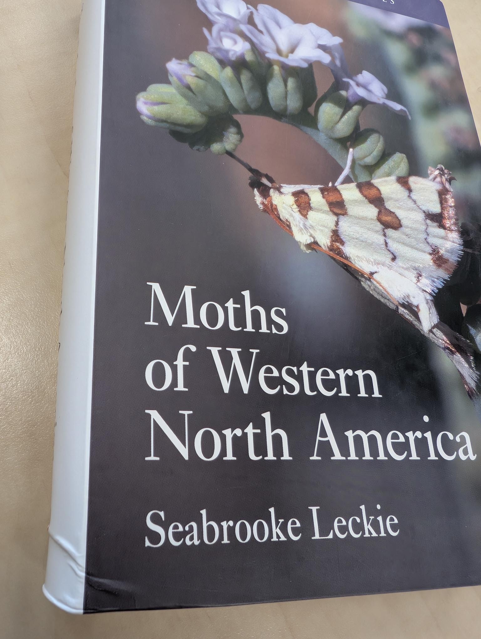 Damaged copy - Moths of Western North America