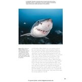 The Shark Watcher's Manual: A Guide to Species and Where to Find Them