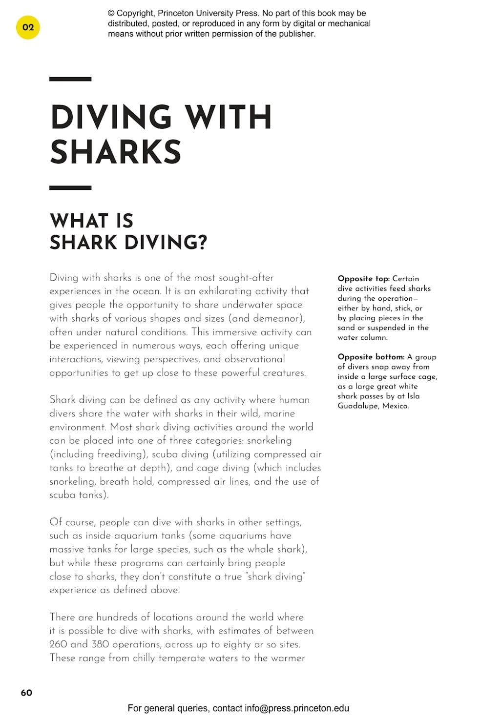 The Shark Watcher's Manual: A Guide to Species and Where to Find Them