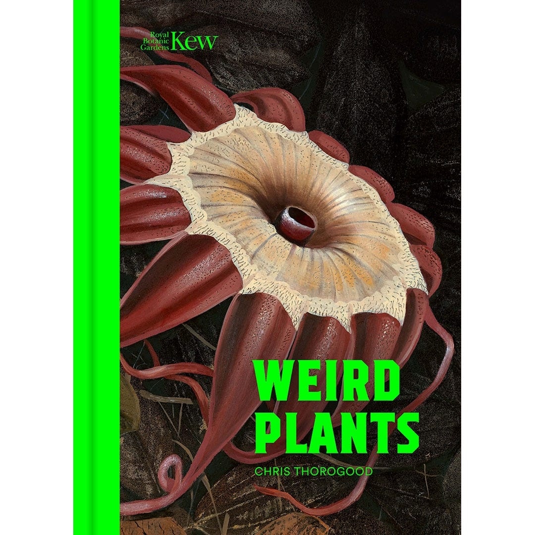 Weird Plants