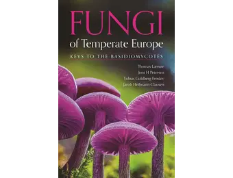 Fungi of Temperate Europe: Keys to the Basidiomycotes