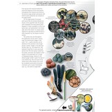 Fungi of Temperate Europe: Keys to the Basidiomycotes
