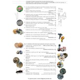 Fungi of Temperate Europe: Keys to the Basidiomycotes
