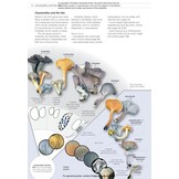 Fungi of Temperate Europe: Keys to the Basidiomycotes