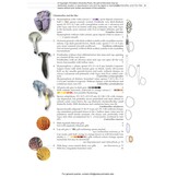 Fungi of Temperate Europe: Keys to the Basidiomycotes
