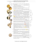 Fungi of Temperate Europe: Keys to the Basidiomycotes