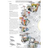 Fungi of Temperate Europe: Keys to the Basidiomycotes
