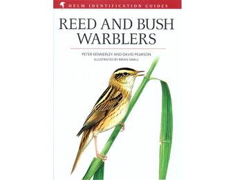 Beschadigd exemplaar – Reed and Bush Warblers