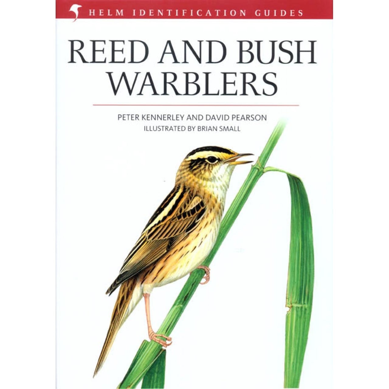 Reed and Bush Warblers - Copy