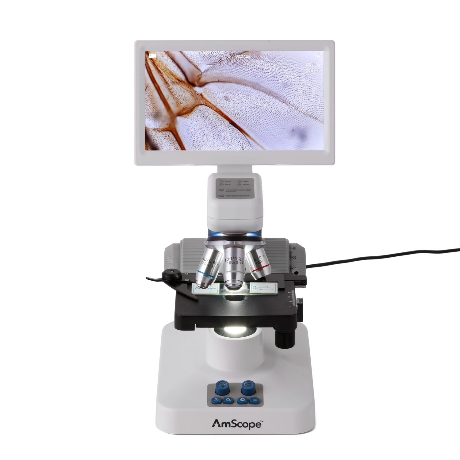 AmScope Full HD 7" Digitales Verbundmikroskop mit Grob- und Feinfokussierung