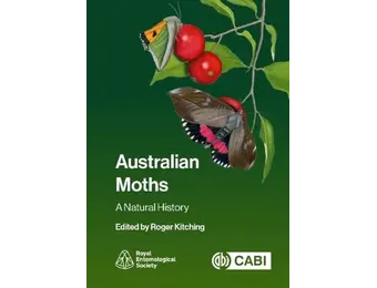 Australian Moths