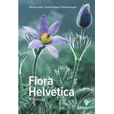 Flora Helvetica - Illustrierte Flora der Schweiz