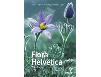 Flora Helvetica - Illustrierte Flora der Schweiz