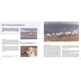 Handboek Kustfotografie