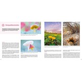 Handboek Kustfotografie