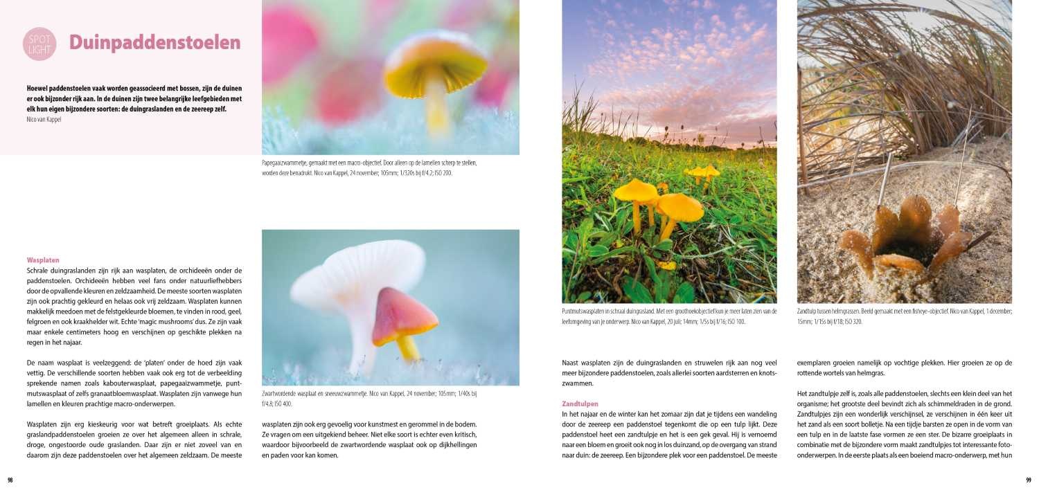 Handboek Kustfotografie