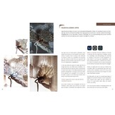 Handboek Smartphonefotografie