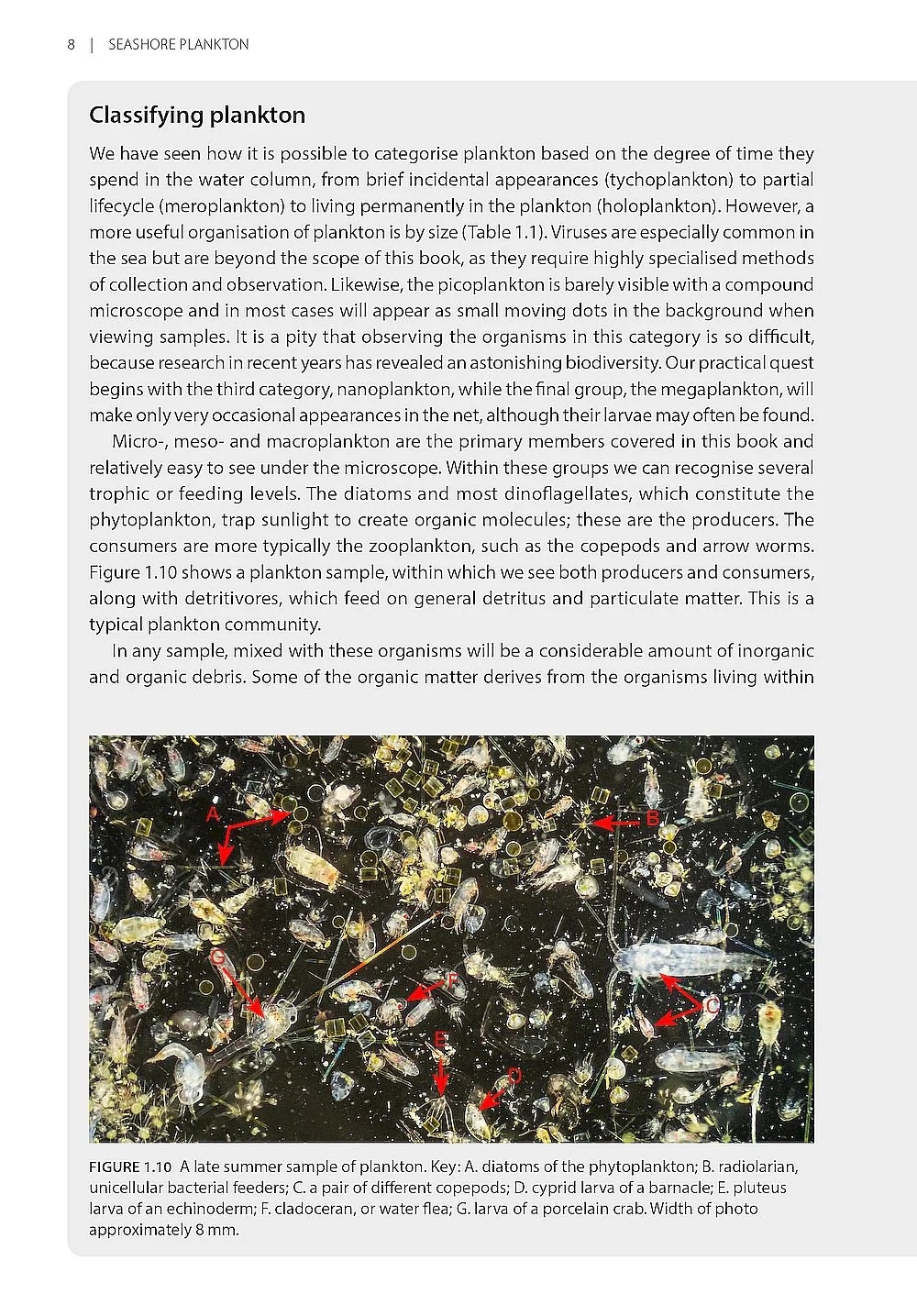Seashore Plankton - A Practical Introduction to Biology and Identification