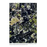 Seashore Plankton - A Practical Introduction to Biology and Identification