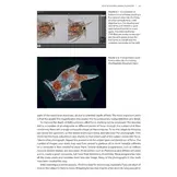 Seashore Plankton - A Practical Introduction to Biology and Identification