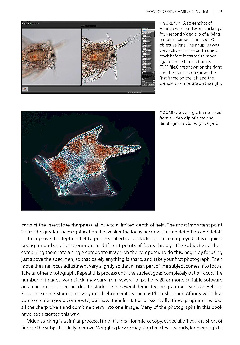 Seashore Plankton - A Practical Introduction to Biology and Identification