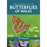 Field Guide to the Butterflies of Wales
