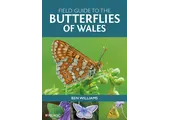 Field Guide to the Butterflies of Wales