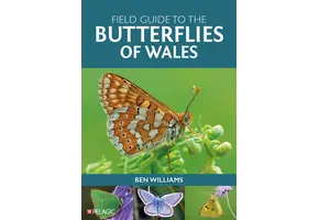 Field Guide to the Butterflies of Wales