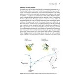 Insect Flight - An Insect-Eye View of Flight Behaviour in the Wild