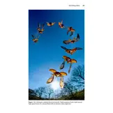 Insect Flight - An Insect-Eye View of Flight Behaviour in the Wild
