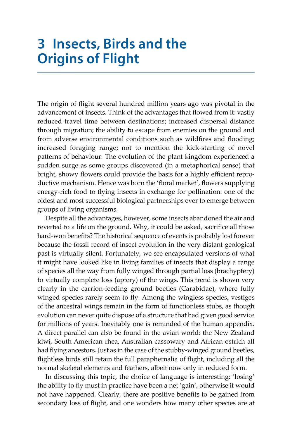 Insect Flight - An Insect-Eye View of Flight Behaviour in the Wild