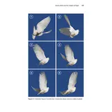 Insect Flight - An Insect-Eye View of Flight Behaviour in the Wild