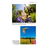 Insect Flight - An Insect-Eye View of Flight Behaviour in the Wild