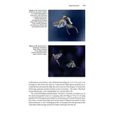Insect Flight - An Insect-Eye View of Flight Behaviour in the Wild