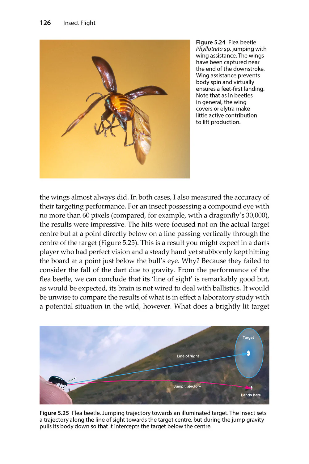 Insect Flight - An Insect-Eye View of Flight Behaviour in the Wild