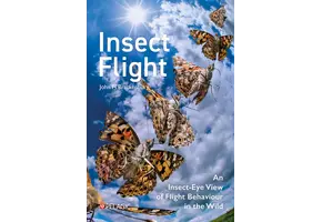 Insect Flight
