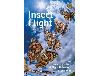 Insect Flight
