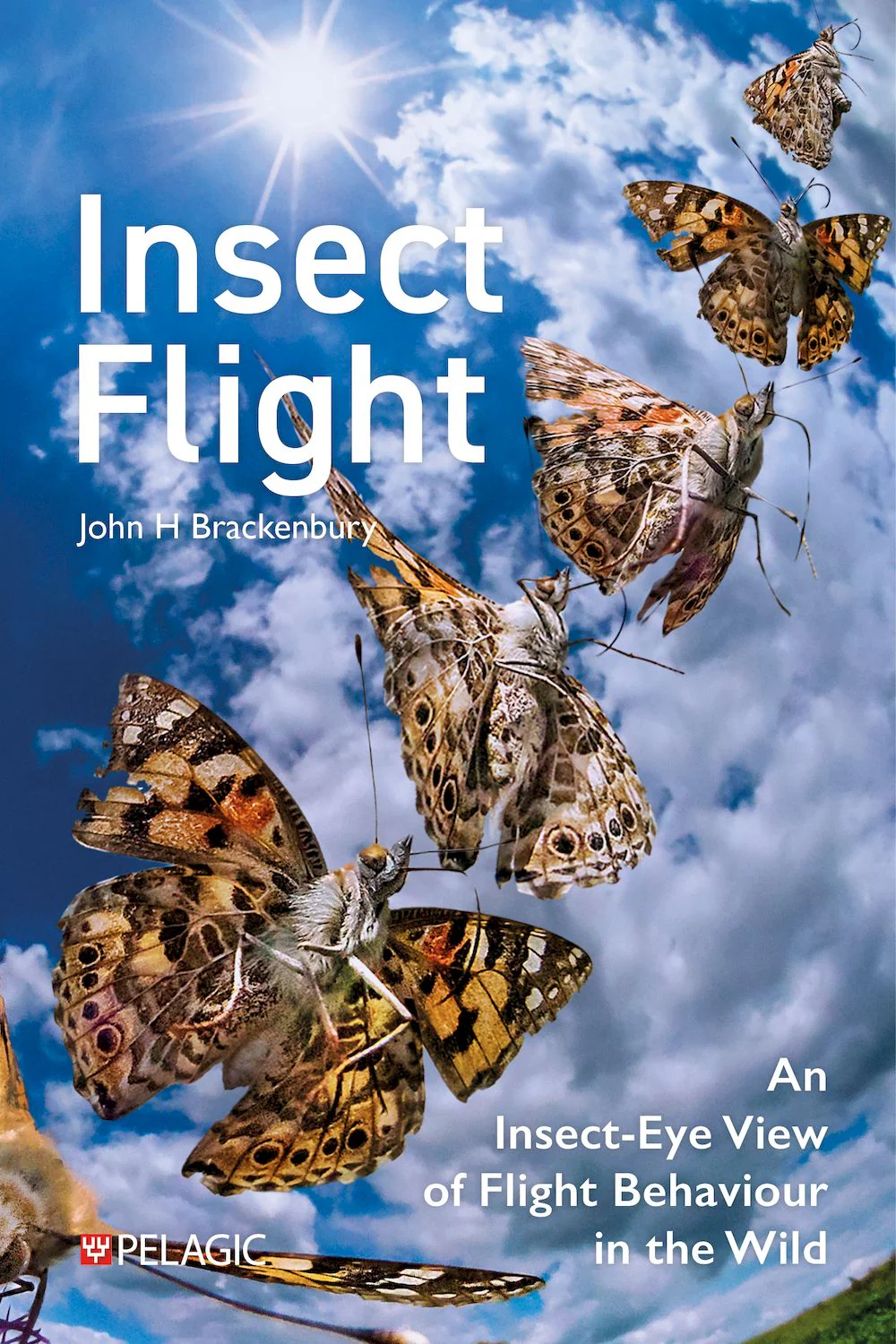 Insect Flight - An Insect-Eye View of Flight Behaviour in the Wild