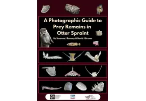 A Photographic Guide to Prey Remains in Otter Spraint