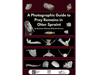 A Photographic Guide to Prey Remains in Otter Spraint