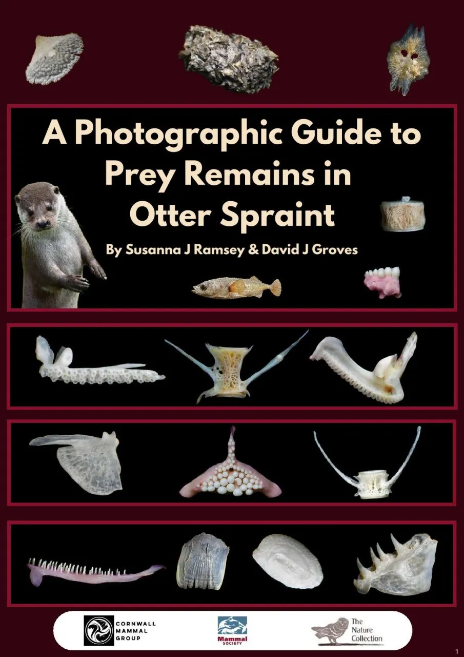A Photographic Guide to Prey Remains in Otter Spraint