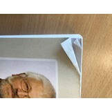 Damaged copy - Blattläuse – Aphidoidea