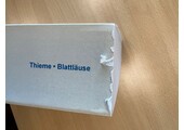 Beschadigd exemplaar – Blattläuse