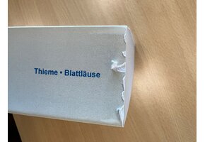 Damaged copy - Blattläuse