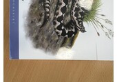 Damaged copy - Field Guide to the Amphibians & Reptiles of Britain and Europe