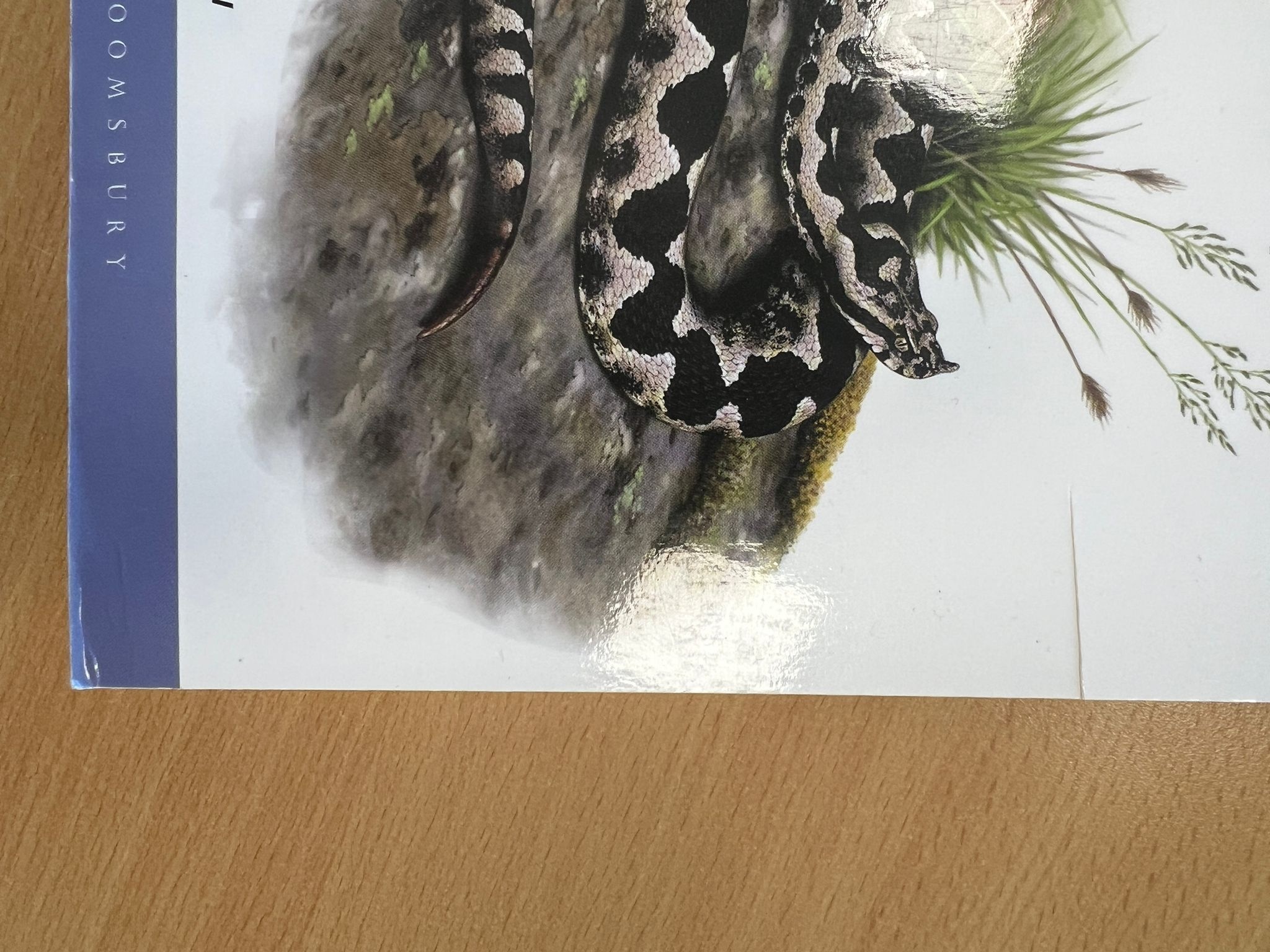 Damaged copy - Field Guide to the Amphibians & Reptiles of Britain and Europe