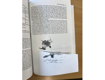 Beschadigd exemplaar – The Skuas