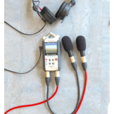 Pluggy XLR Primo EM272Z1 Microphone Stereo Pair